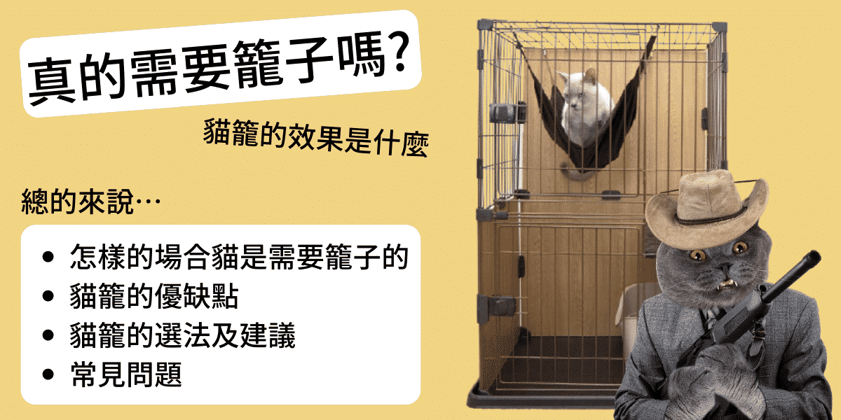 「貓籠是必須?」貓籠飼養的好處、選法以及常見問題是?