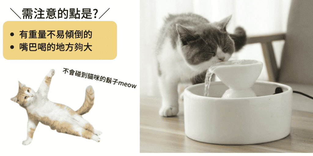 【貓喝水的碗盤】需注意的點是什麼？