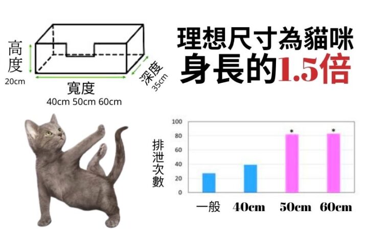 貓咪在棉被尿尿的原因與應對 吸貓上癮