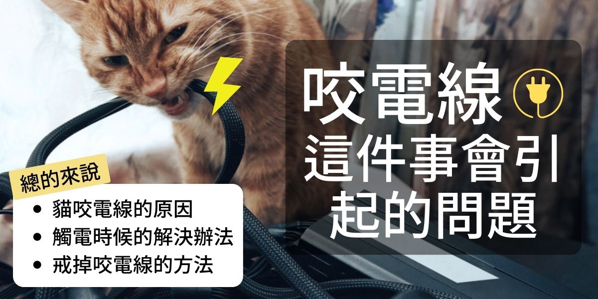 想要讓貓戒掉咬電線的壞習慣!從訓練方法到貓觸電時的解救方法