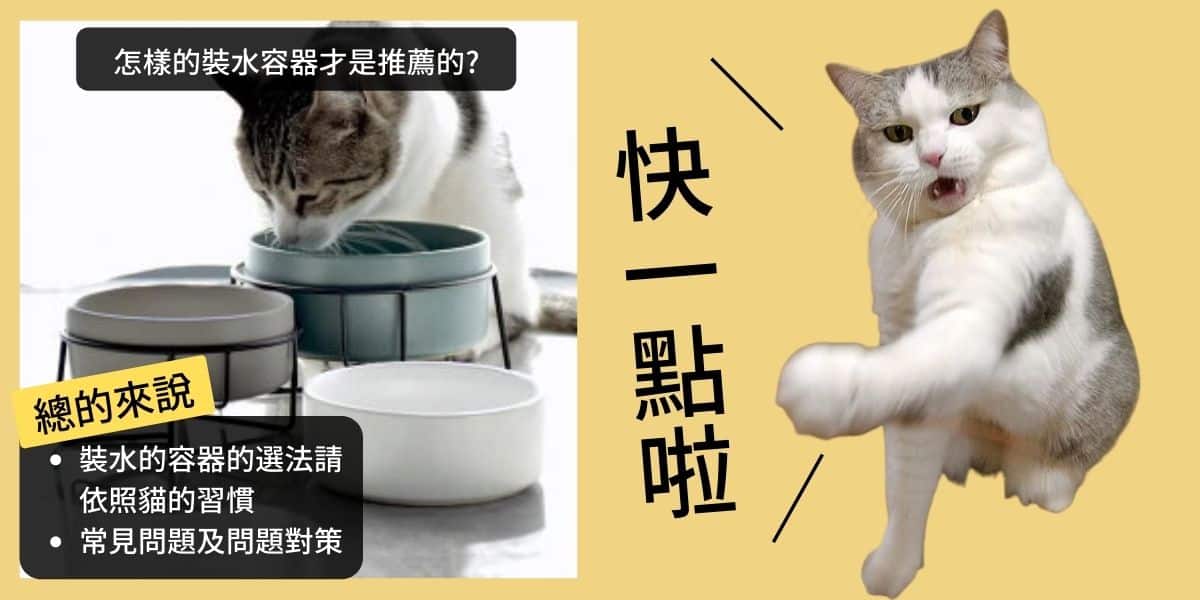 【貓把水盤打翻】不會打翻水的容器(碗盤)的選法之常見問題