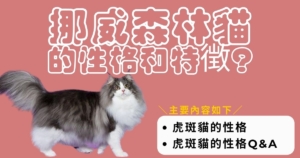 關於茶虎貓的特徵和種類 性格 飼養要點 容易染上的疾病 吸貓上癮