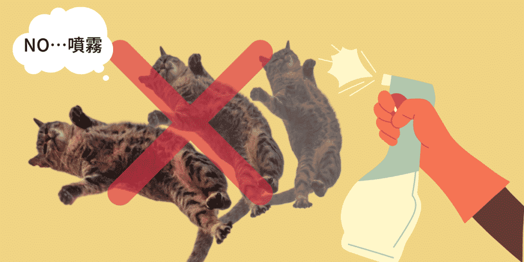 改掉貓咬東西壞習慣的方法是?
