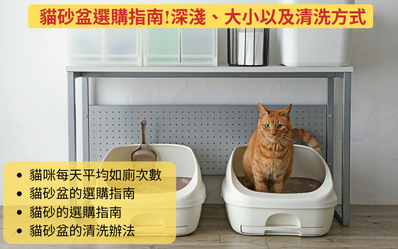 貓咪喜歡的貓砂盆是什麼?貓砂盆選購指南!深淺、大小以及清洗方式