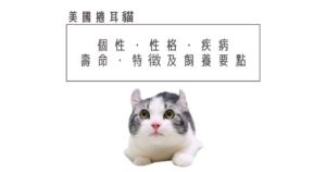 關於茶虎貓的特徵和種類 性格 飼養要點 容易染上的疾病 吸貓上癮